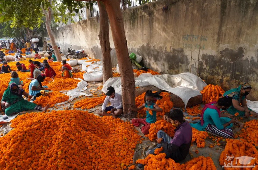 جشنواره آیینی" دیوالی" در هند/ آسوشیتدپرس و نورفوتو