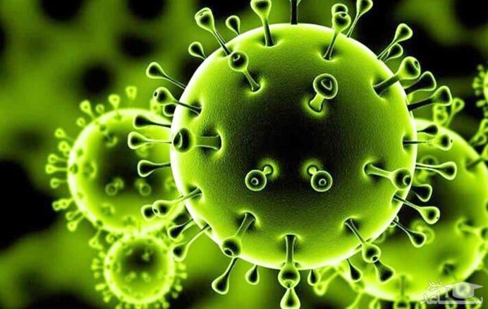 (فیلم) روند شیوع ویروس کرونا در کشور