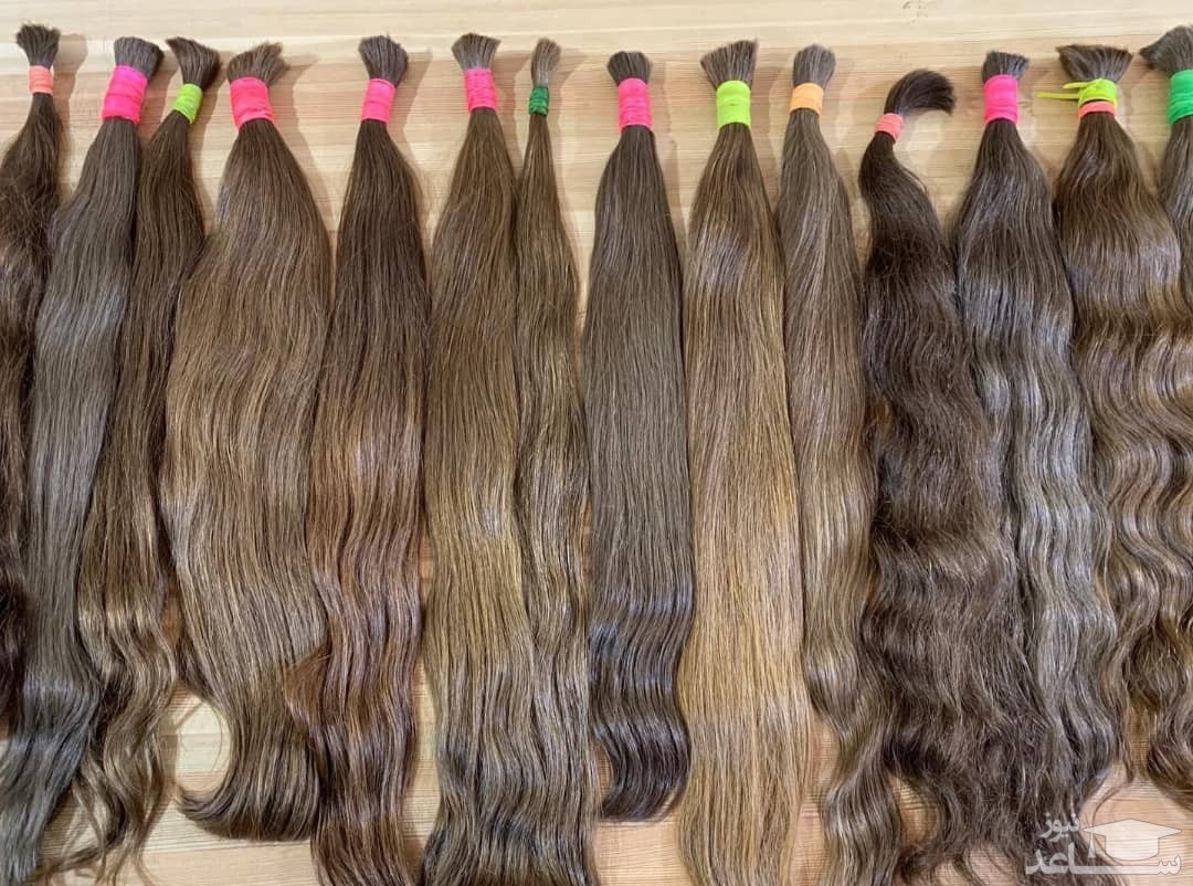 قیمت «مو» هم نجومی شد