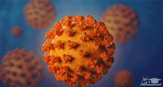 آشنایی با ۳ نوع مختلف ویروس کرونا