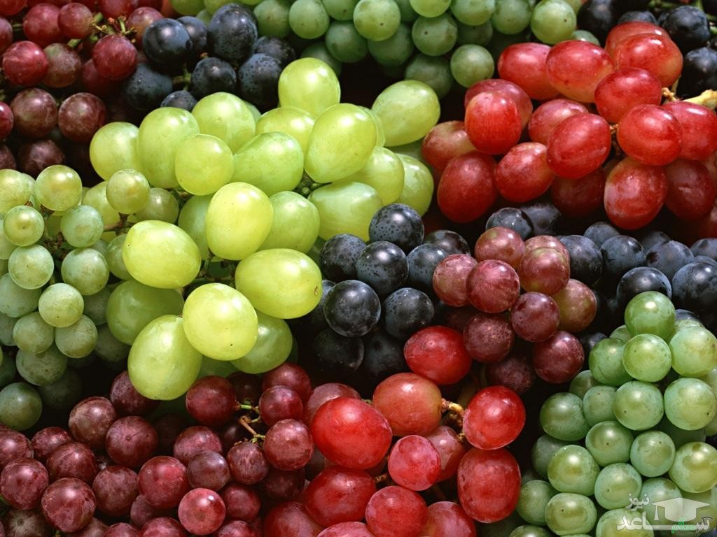 خاصیت فراوان میوه ی بهشتی انگور