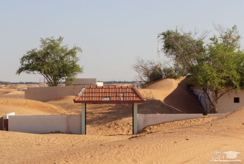 تصویر