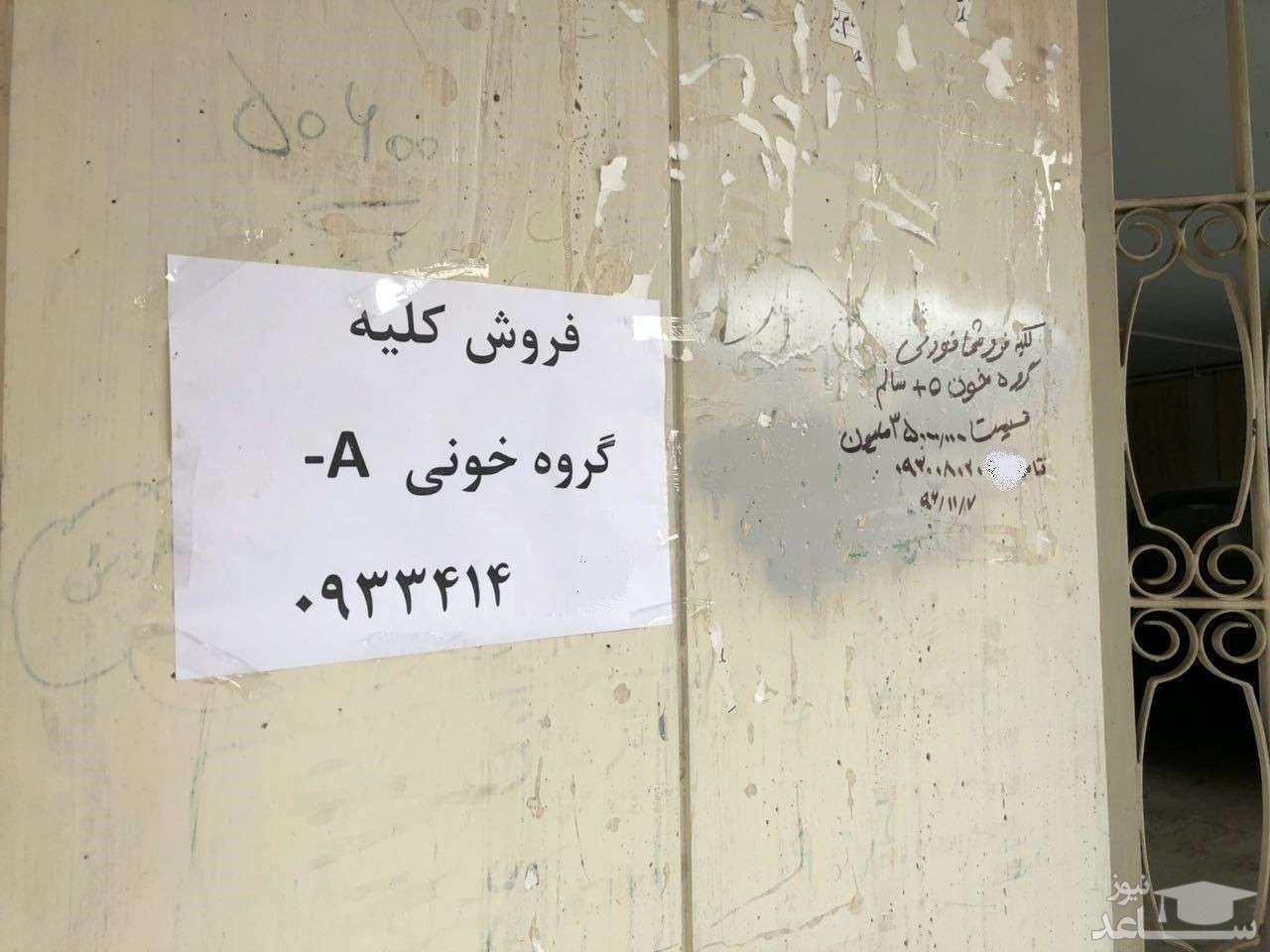 سفر ایرانی‌ها به عراق برای فروش گران‌ترِ کلیه