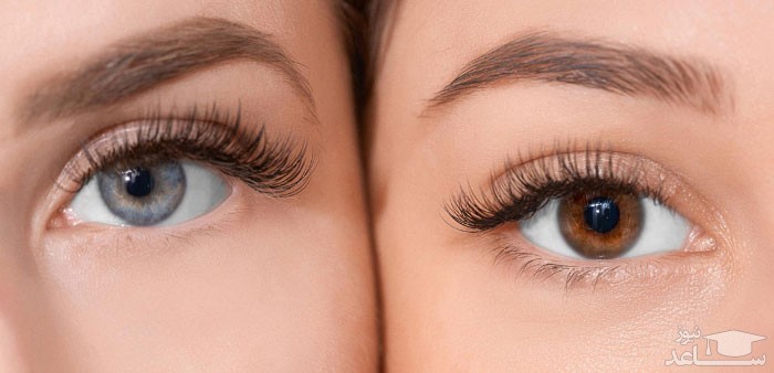 میزان و نحوه مصرف قطره بلفارول