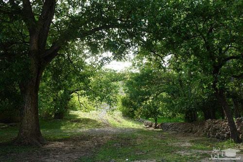 روستای مشکنان نایین