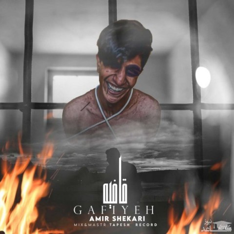 دانلود آهنگ قافیه از امیر شکاری
