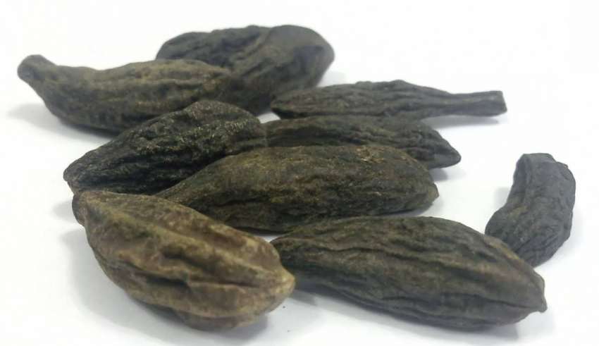 با فواید و مضرات هلیه سیاه بیشتر آشنا شوید