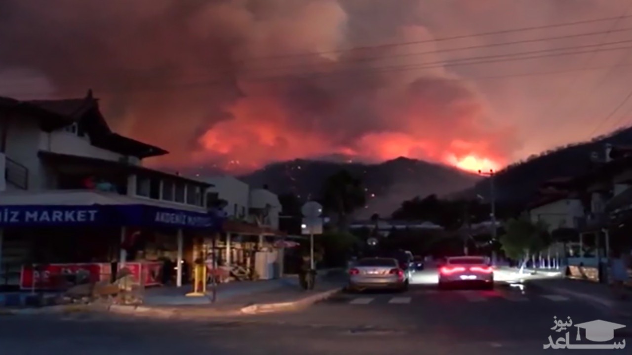 (فیلم) آتش به جان جنگل‌های ترکیه افتاده است 