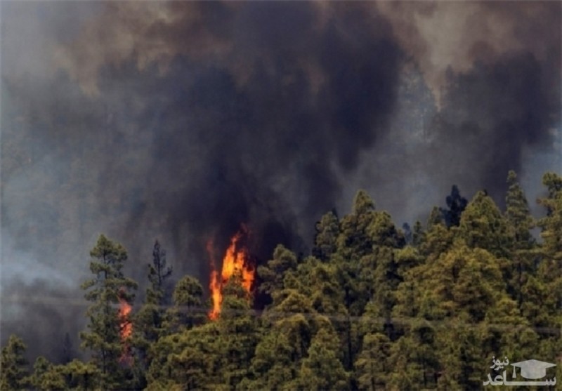 آتش  ۹ هکتار از جنگل‌های گیلان را بلعید