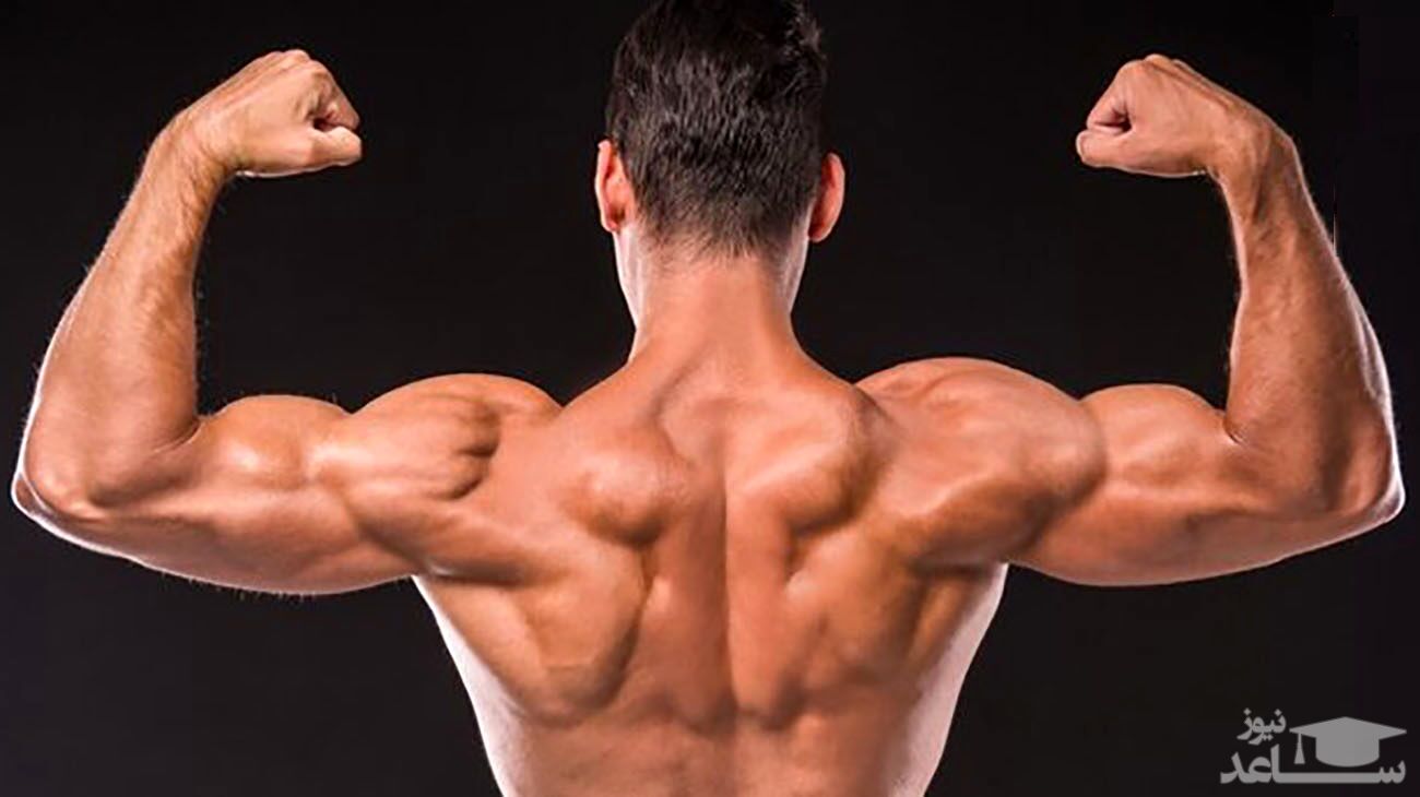 تیم پرورش اندام ایران از گرجستان دیپورت شد!