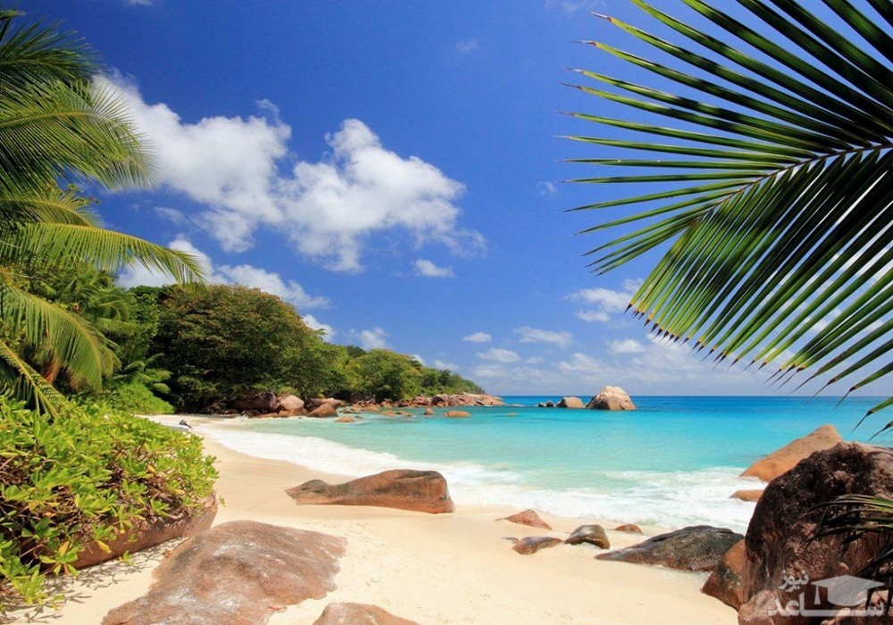  جزیره پراسلین