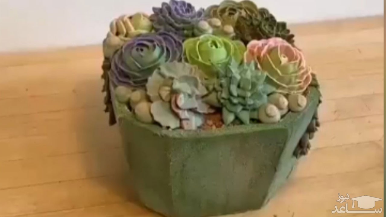 (فیلم) عجیب‌ترین و خلاقانه‌ترین مدل‌های کیک