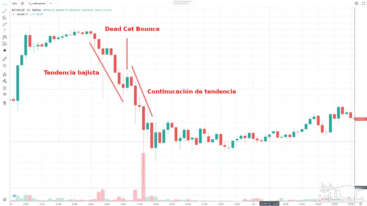  الگوی جهش گربه مرده