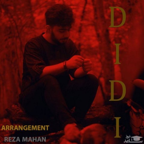 دانلود آهنگ دیدی از رضا کوشکی