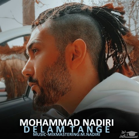 دانلود آهنگ دلم تنگه از محمد ندیری
