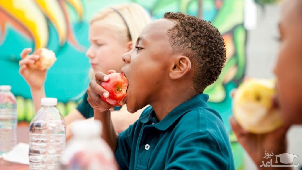 نقش تغذیه در ابتلا شدن کودکان به بیش فعالی