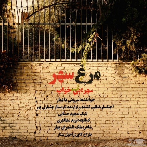 دانلود آهنگ مرغ سهر از سروش دادیار