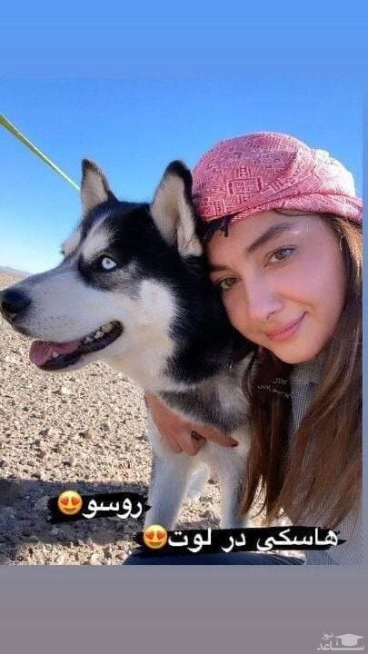 هانیه توسلی