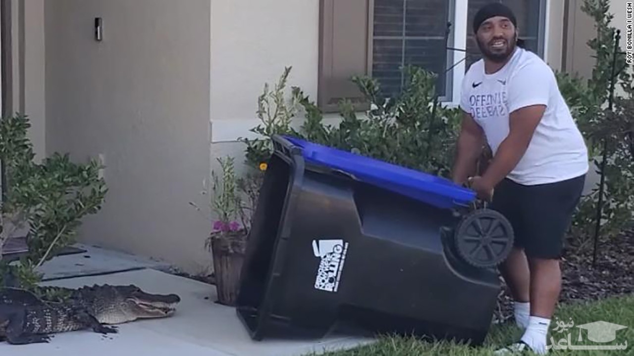 (فیلم) به دام انداختن تمساح با سطل آشغال! 