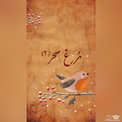 دانلود آهنگ مرغ سحر 2 از محسن مولانا