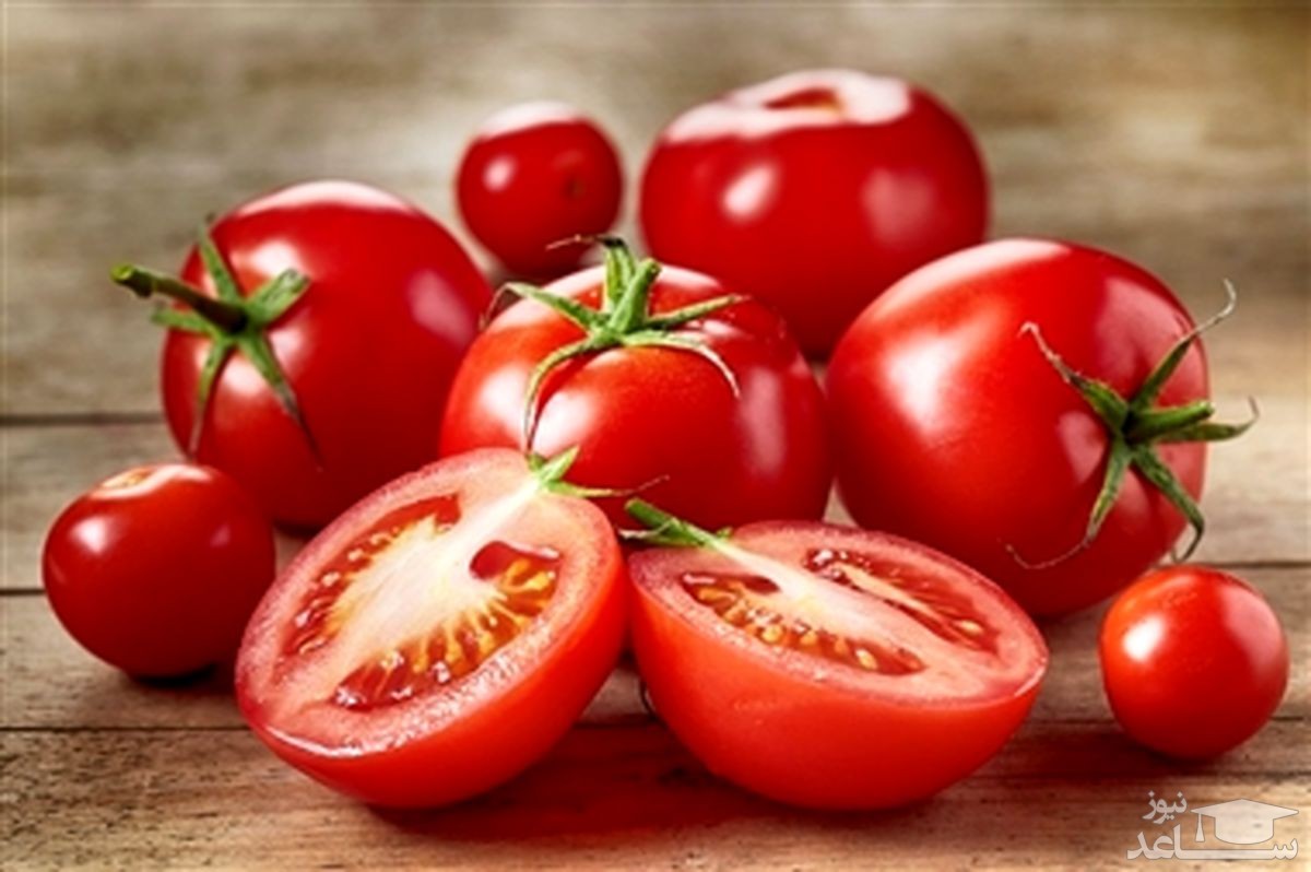 توضیحات رئیس اتحادیه بارفروشان از قیمت گوجه فرنگی