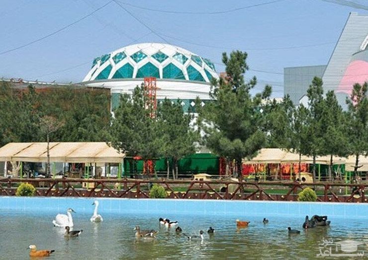 واکنش عجیب مدیر باغ پرندگان مشهد به شکستگی منقار پرنده/ از فیلم منتشر شده در فضای مجازی متوجه شدیم! +فیلم