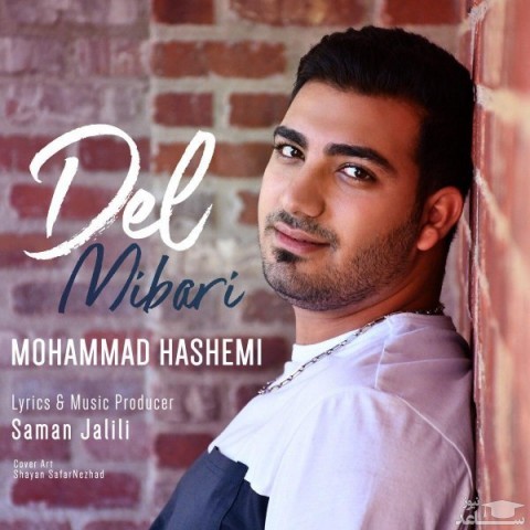 دانلود آهنگ دل میبری از محمد هاشمی