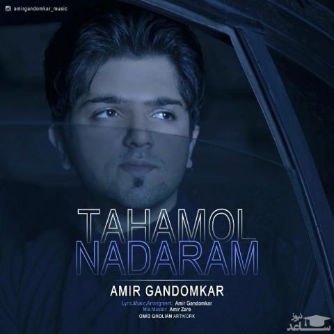 دانلود آهنگ تحمل ندارم از امیر گندم کار