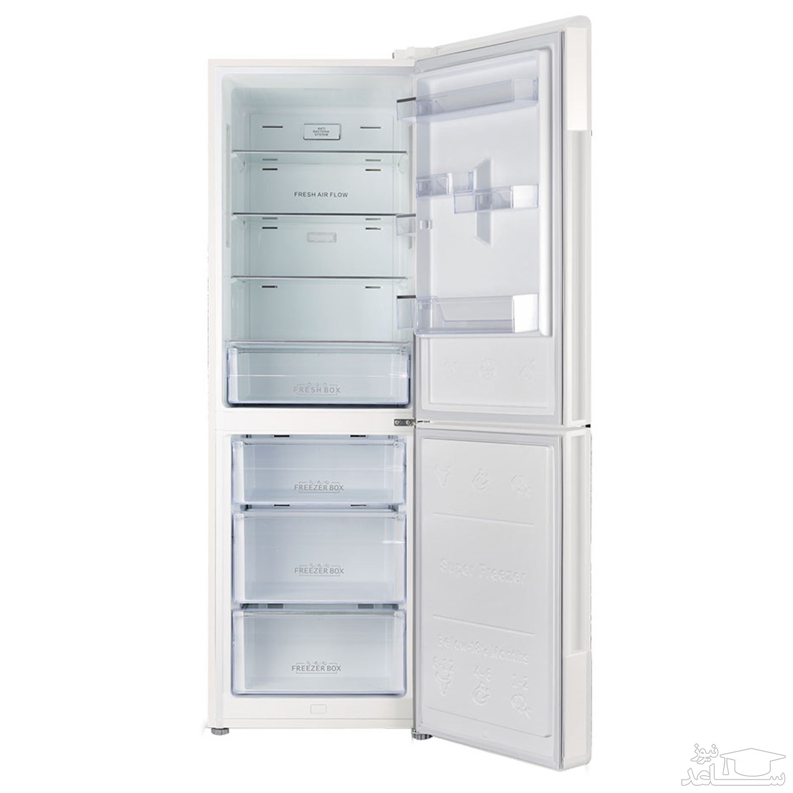 یخچال و فریزر جی پلاس مدل GRF-J302