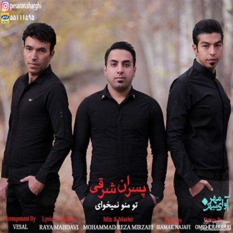 دانلود آهنگ تو منو نمیخوای از پسران شرقی