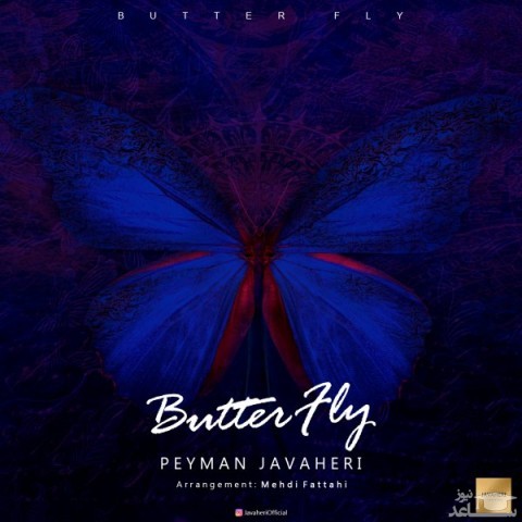 دانلود آهنگ پروانه از پیمان جواهری