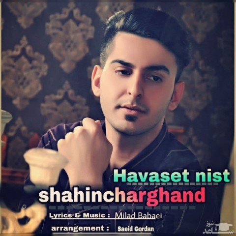 دانلود آهنگ هواست نیست از شاهین چرغند