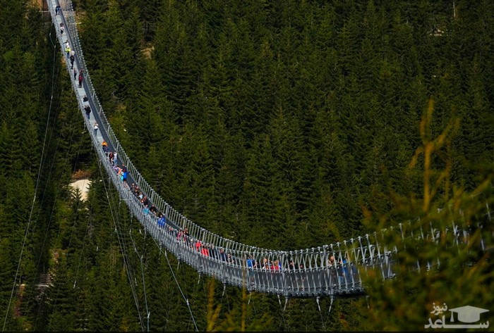 افتتاح طولانی ترین پل معلق عابر پیاده در جمهوری چک/ آسوشیتدپرس