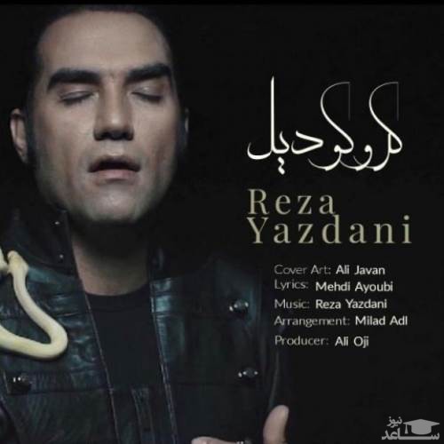 دانلود آهنگ کروکودیل از رضا یزدانی