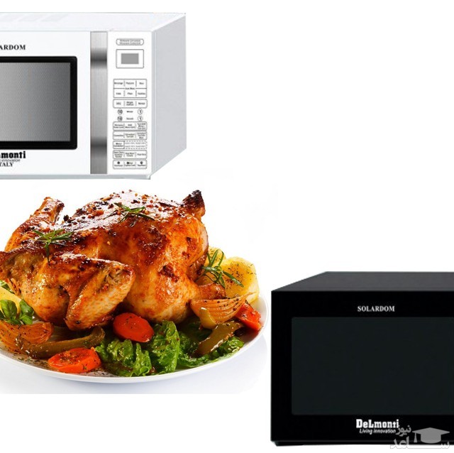 ماکروویو سولاردام دلمونتی Delmonti dl 500