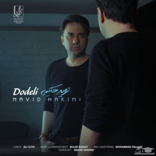 دانلود آهنگ دودلی از نوید حکیمی