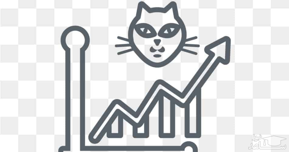 آشنایی با الگوی جهش گربه مرده در تحلیل تکنیکال ارزهای دیجیتال