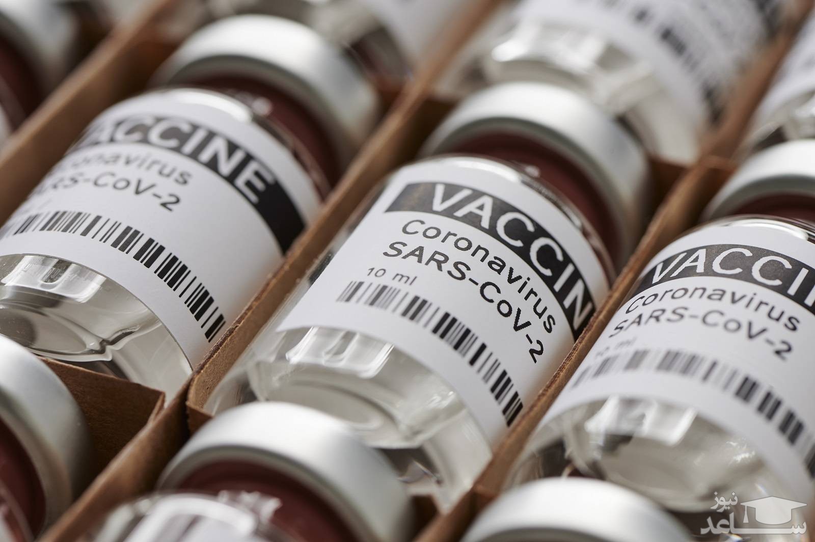 آزمایش واکسن جدید کرونا که ویروس آنفلوآنزا را نیز از بین می‌برد