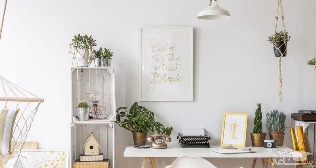 مزایای استفاده از گیاهان در دکوراسیون منزل چیست؟