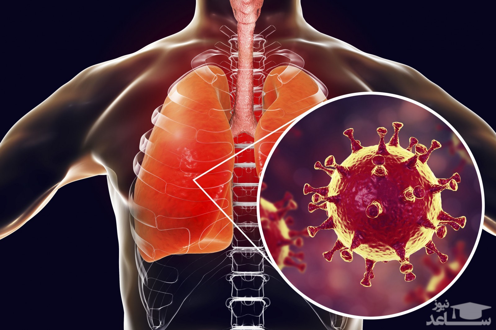 چگونگی مراقبت از بیماران خفیف کووید ۱۹ در منزل ابلاغ شد