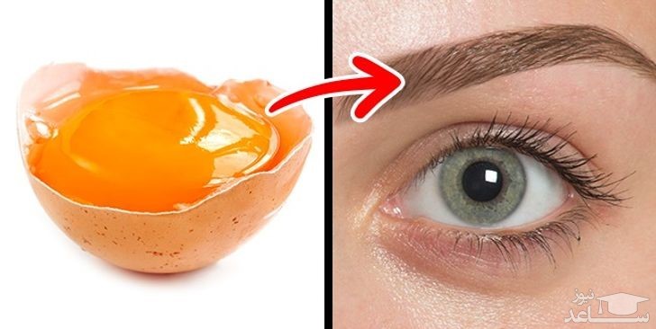 تصویر چشم و تخم مرغ