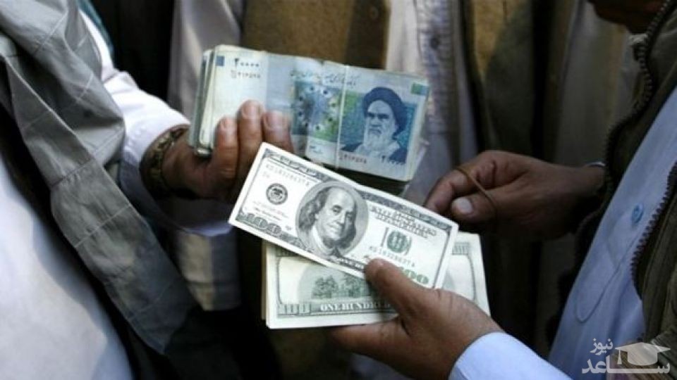 برای مقابله با سودجویان ارزی دولت دست به کار شد