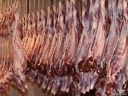 (فیلم)فروش گوشت بز به جای گوسفند در تهران