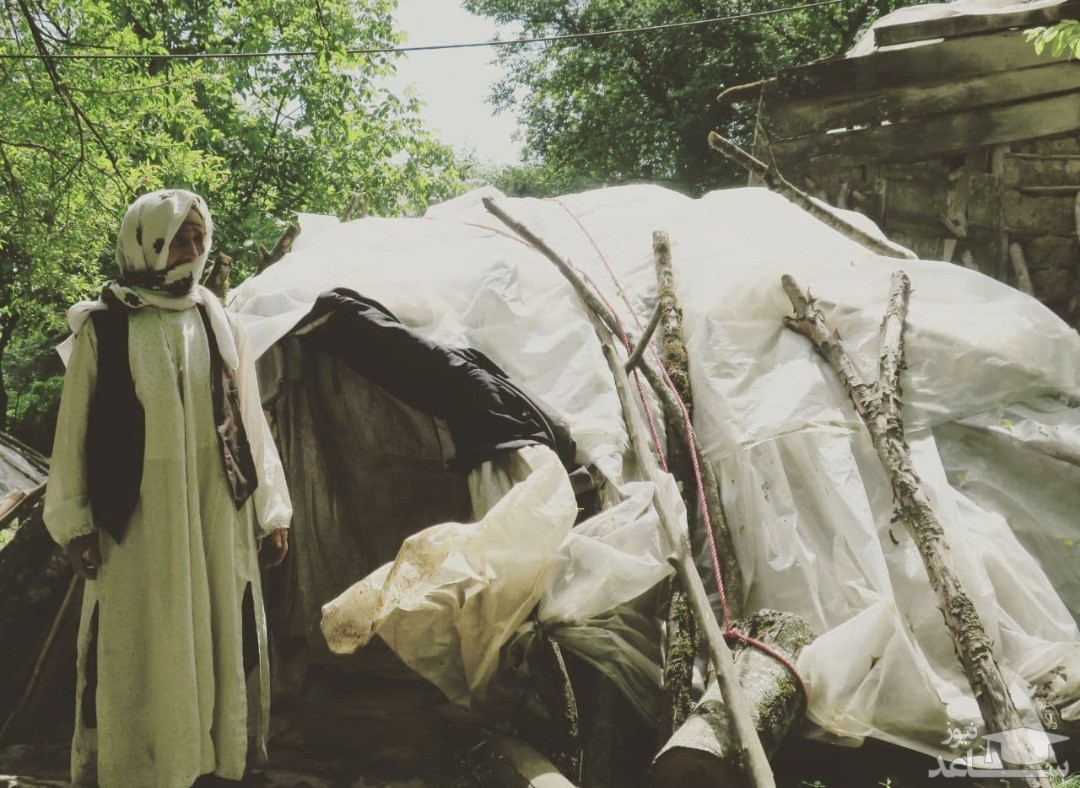 (عکس) مادربزرگ نیکوکاری که در چادر زندگی می‌کرد، درگذشت