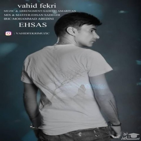 دانلود آهنگ احساس از وحید فکری