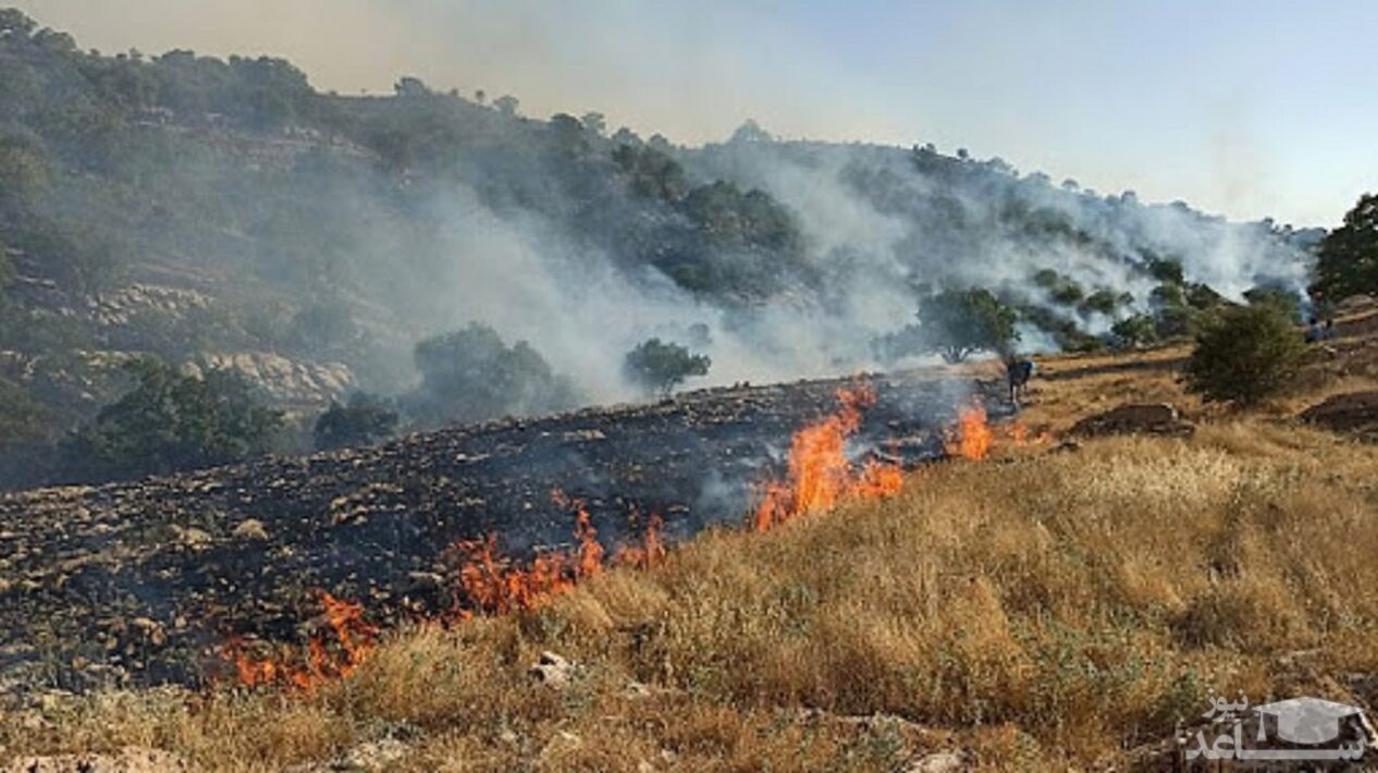 عاملان آتش‌سوزی کوه خائیز دستگیر شدند