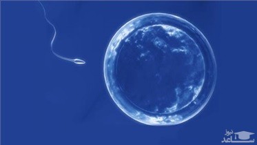 هنگام بروز چه علائمی باید به متخصص نازایی مراجعه کرد؟