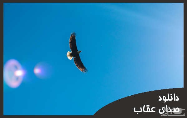 دانلود آهنگ عقاب 2 از افکت صوتی انسان و موجودات زنده