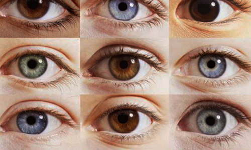 تأثیر مواد غذایی بر رنگ چشم