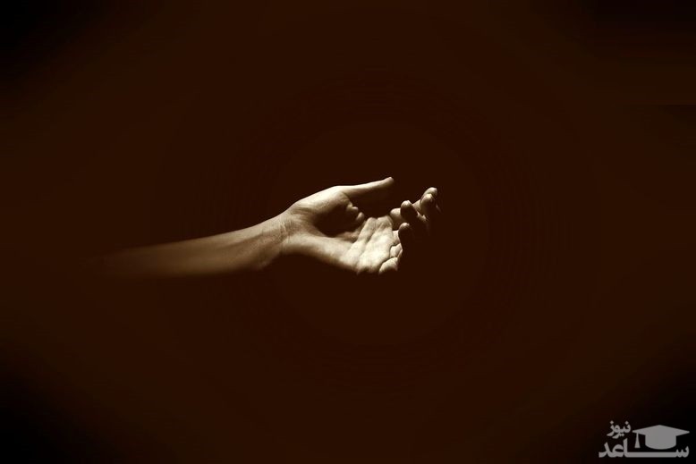 اقدام پلید با دختر تهرانی در گاوداری / اعتراف عجیب افشین در دادگاه دیروز